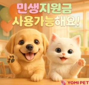 네이버 요미독앤캣