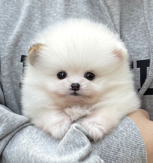 이미지